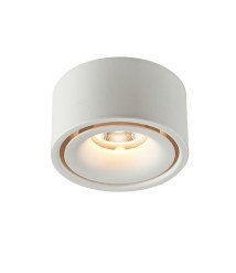 LED SURFACE MOUNT DOWNLIGHT 10W 80LM/W WHITE 3000K BRIDGELUX-CHIP