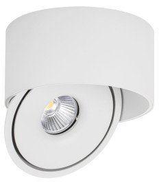LED COB 30W DOWNLIGHT ROUND ROTATABLE WHITE AC85-265V 100LM/W CCT - BRIDGELUX