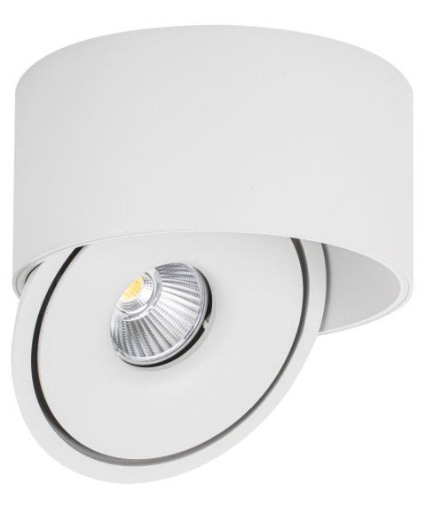 LED COB 30W DOWNLIGHT ROUND ROTATABLE WHITE AC85-265V 100LM/W CCT - BRIDGELUX
