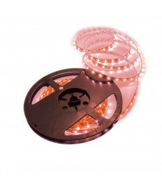 LED strip CODA LED  RED IP20