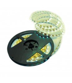 LED strip CODA LED  GREEN IP20