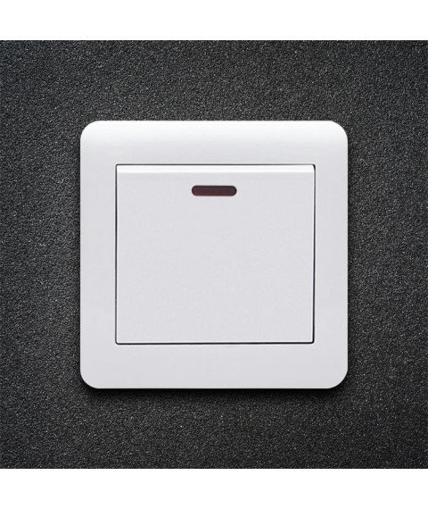 Plastic Switch TT-25A Switch-WHITE